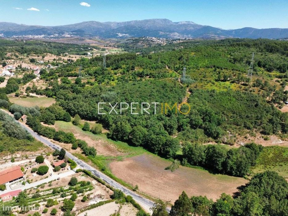 Terreno de 3,8 ha Atravessado pelo Rio Cobral – Várzea de Meruge,...