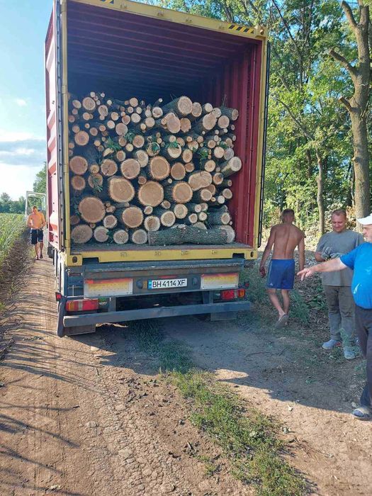 Замовте дрова від виробника - зекономте на зимі!