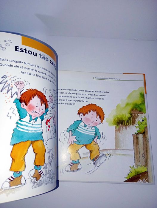 Os Sentimentos - Da Tristeza à Alegria