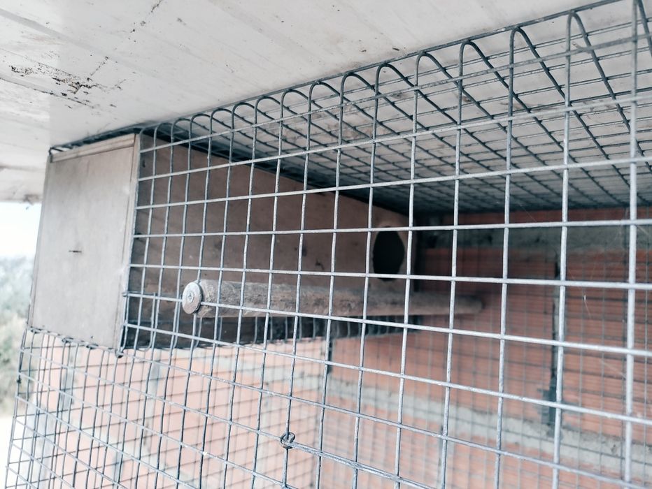 Vendo gaiola para pássaros