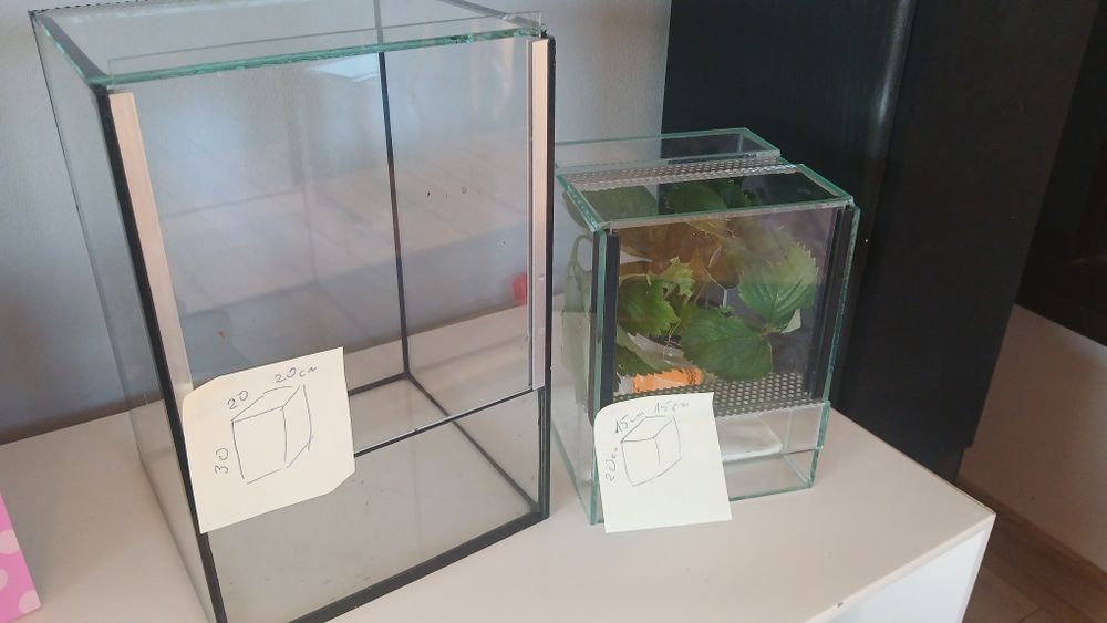 Terrarium 2sz. 20x20x30 + 15x15x20 cm