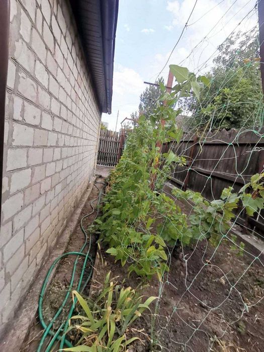 Продаж дачі в Богатирівка