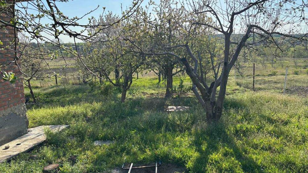 (7) Продаж будинку в с. Вороновиця (4532)