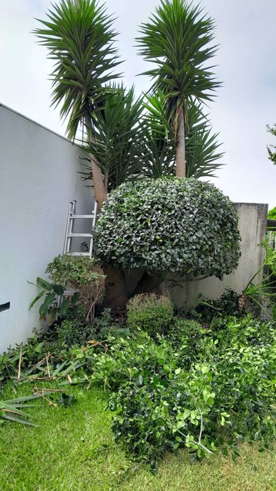 JL Jardins serviços de jardinagem