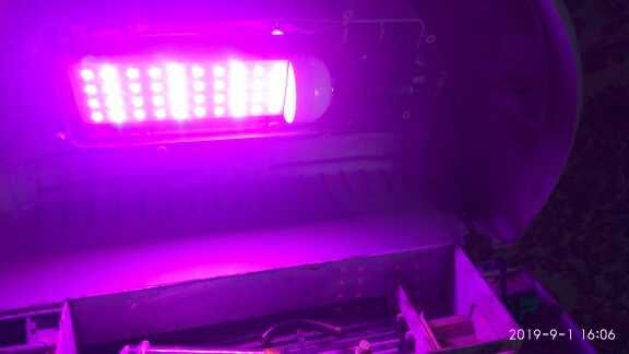 фитолампы 10 шт одним лотом