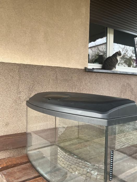 Akwarium na terrarium