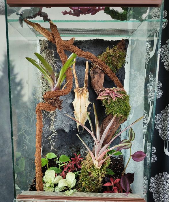 Terrarium NA ZAMÓWIENIE dla gekona, pająka, żab i inne