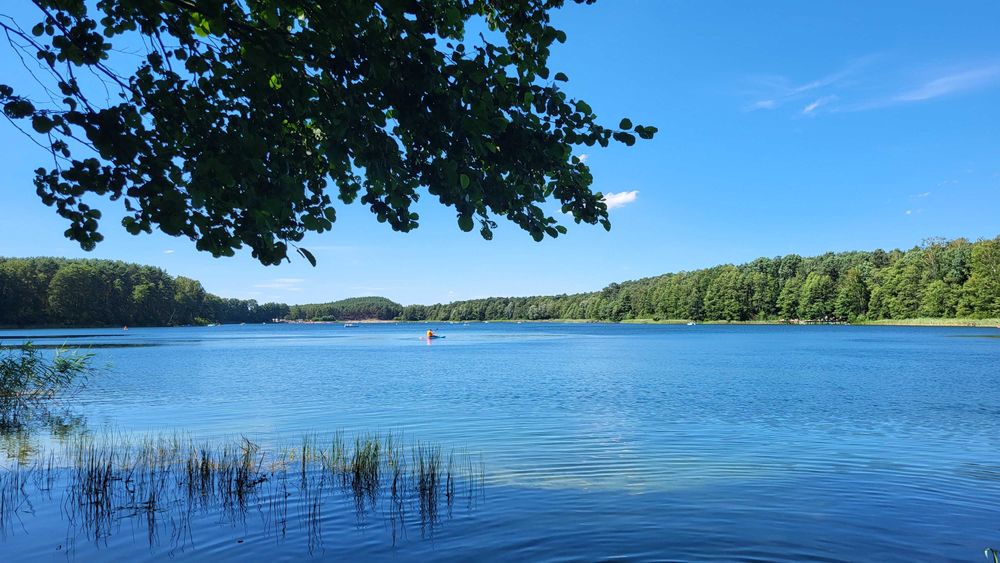 Klimatyczny domek na Kujawach -  rezerwacje sezon 2026