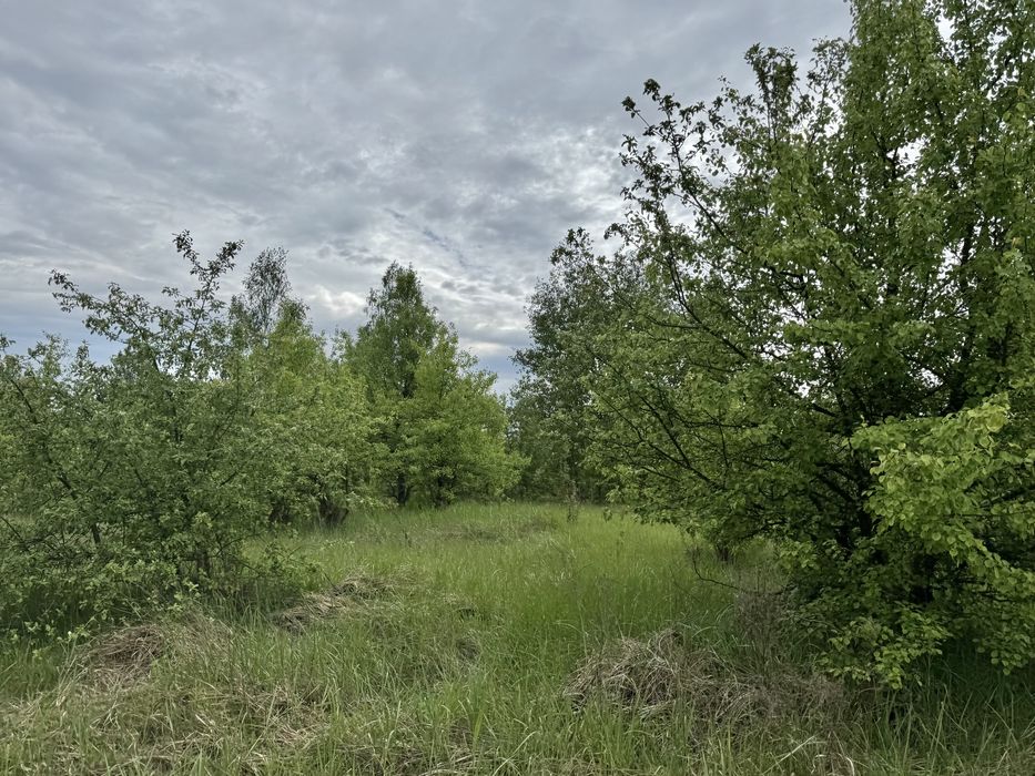 Земельна ділянка 1,5 га!!! Пилиповичі