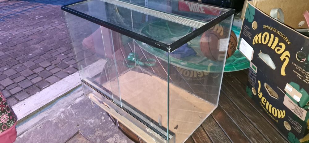 Terrarium dla węża