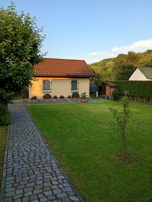 Ogródek działkowy w ROD XX-LECIA