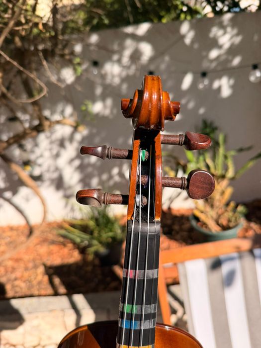 Violino Stentor 3/4