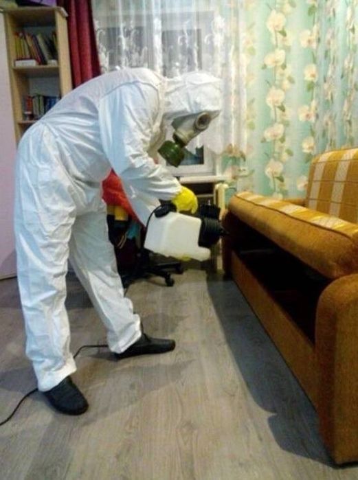 Холодный туман от тараканов и клопов Профессионально  Гарантия