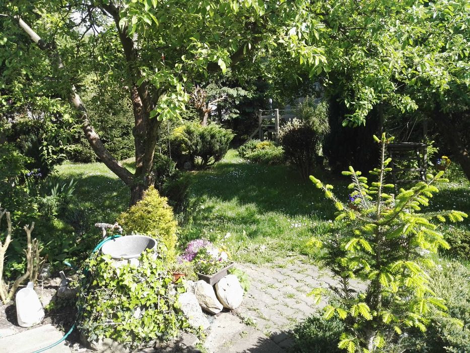 Działka ROD Kraków Bielany