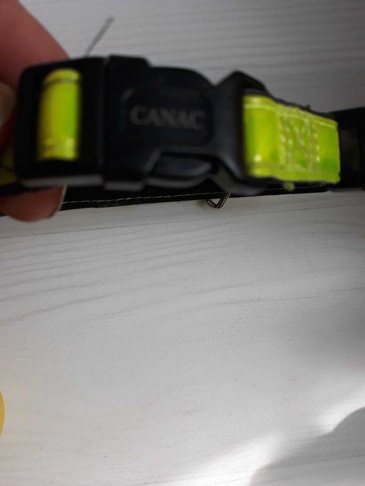 Светящийся флуорисцентный LED ошейник 46 см шлейка для собак