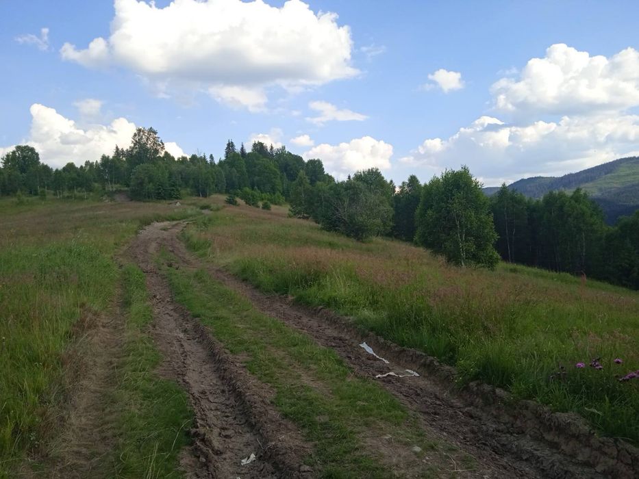 Продаж земельної ділянки під забудову с Вишків