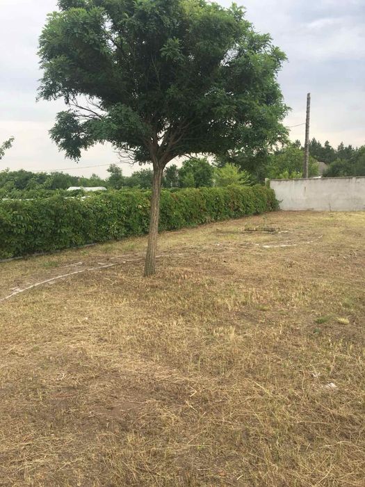 Продам дом в Орловщине . Хозяин. 24 сотки