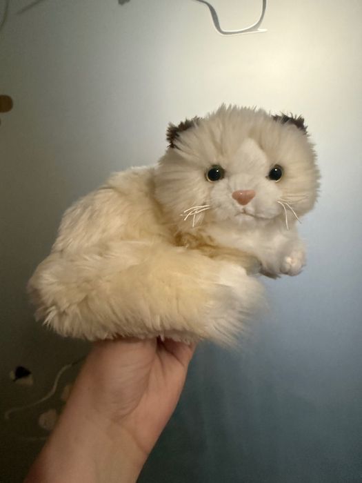 Реалістичне кошеня від Tesco