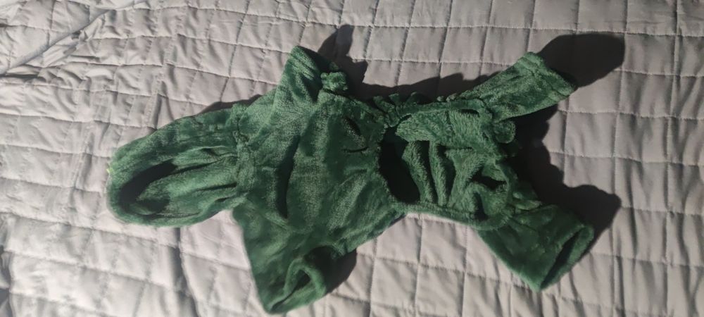 Nowe ubranko dla psa dinozaur