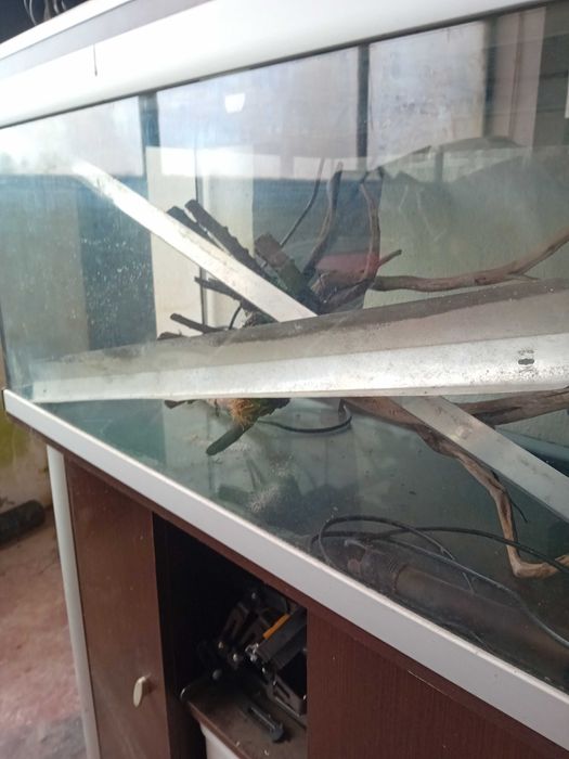 Aquário para peixes, com armário incluído - as crianças vão adorar!