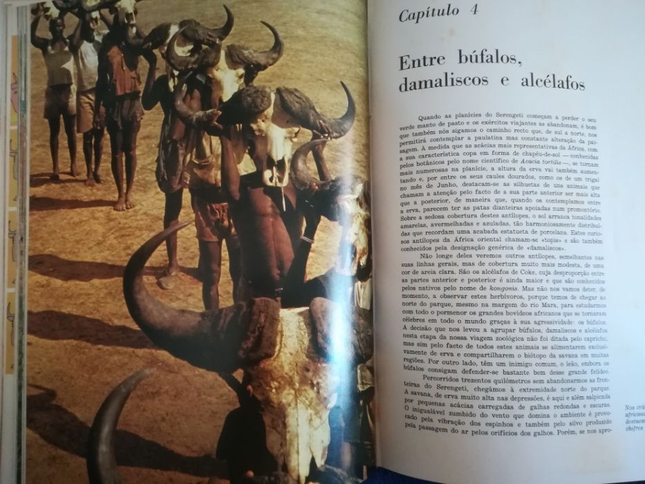 "O Mundo Submarino,Cousteau e "A Fauna " em português