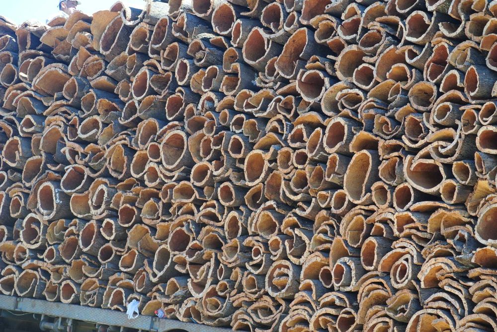 Terreno (Property) 24 Hect . Cortiça (Cork). Bx Alentejo. Algarve