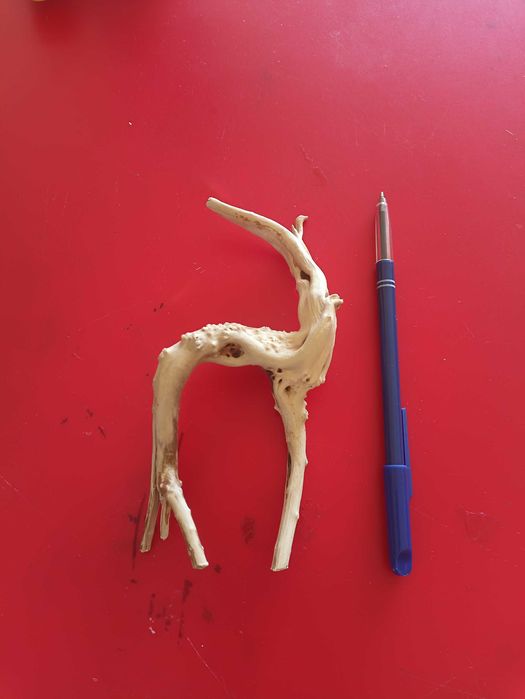 Troncos para aquário +/-20 cm