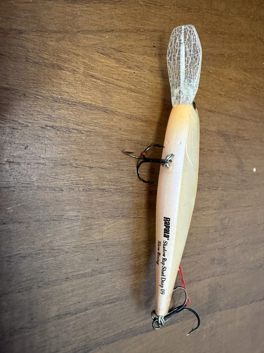 Amostra Rapala como nova