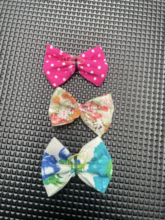 Laços para pelo de cão