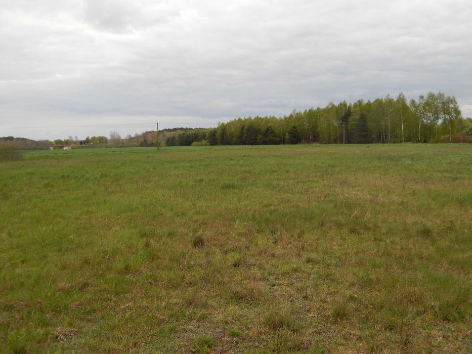 Działka Rekreacyjno - Budowlana (prąd, gaz )  1500 m2 W.Z.