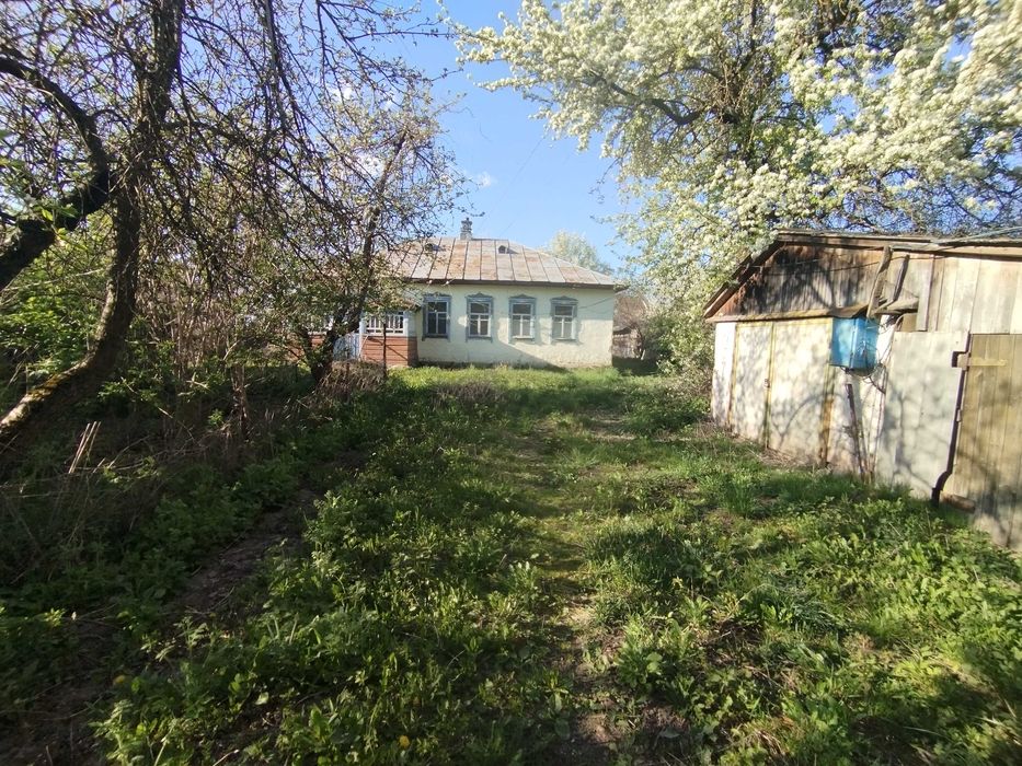 Будинок в с.Жуківка, Чернігівський район