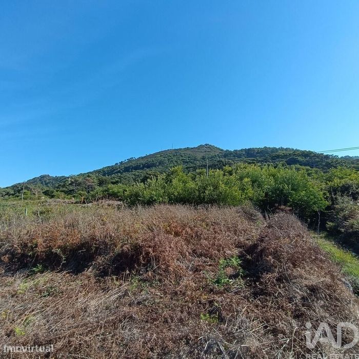 Terreno em Moledo e Cristelo