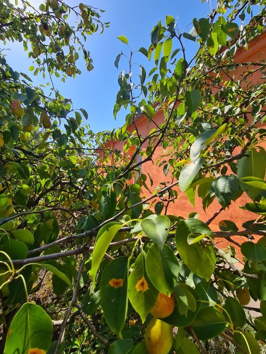 Продам дом "Райский уголок" в Таромском