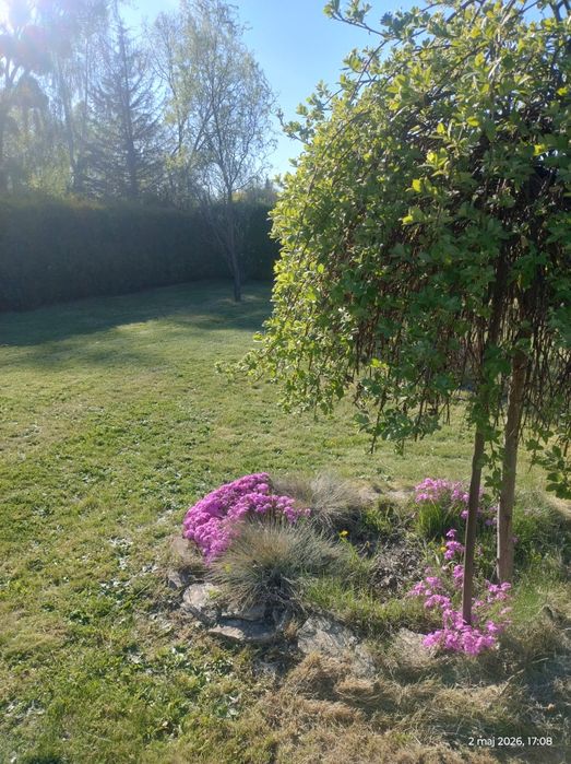 Działka ROD "Wyzwolenie " - Więcej