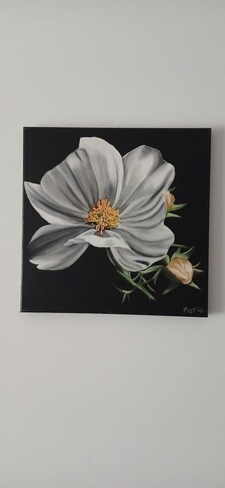 Quadros a óleo sobre tela