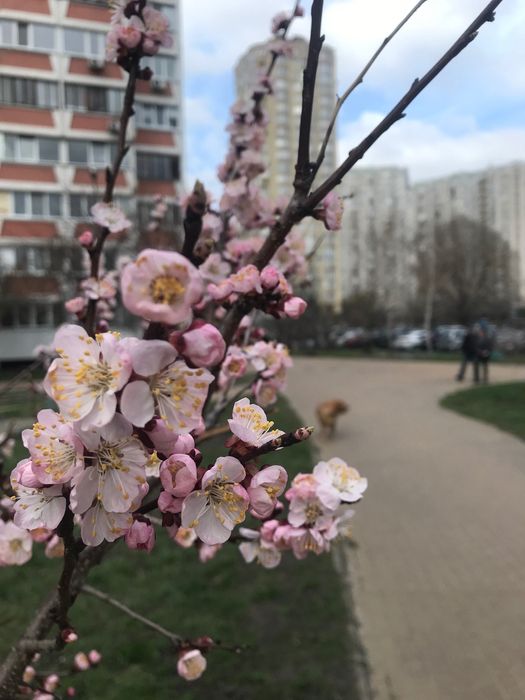 Багатокімнатна квартира за адресою (площа 94 м²) - Atlanta.ua - фото 11