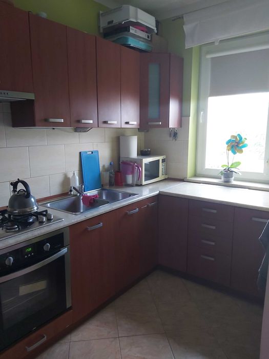 Mieszkanie do wynajęcia
