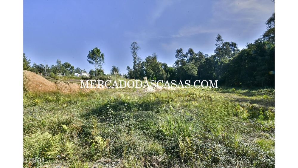 Terreno com viabilidade construtiva, Souto — São Miguel Do Souto E Mosteirô, Aveiro