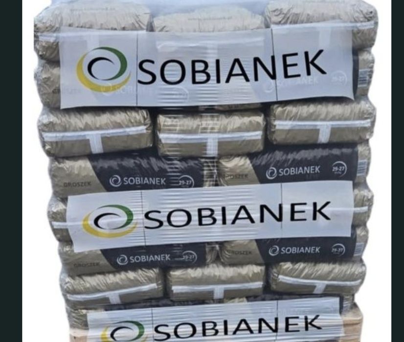 Groszek: Lew: Sobianek