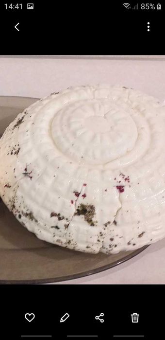 Sery kozie. Wędzone, ricotta, feta, dojrzewający, paneer