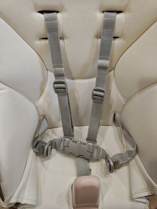 Стільчик для годування Peg-Perego Prima Pappa Follow Me