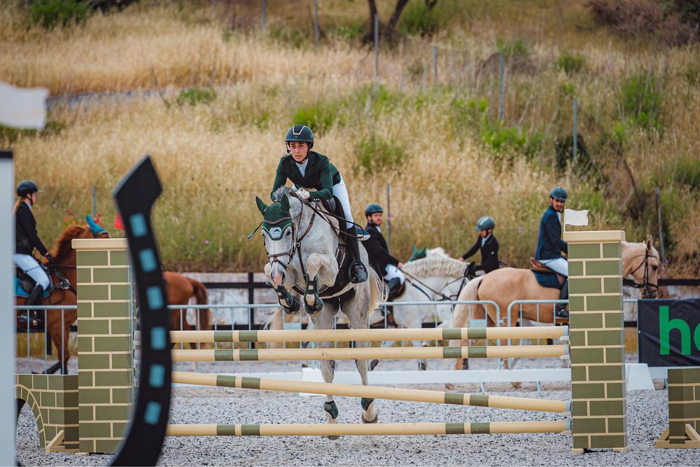 Cavalo castrado 7anos