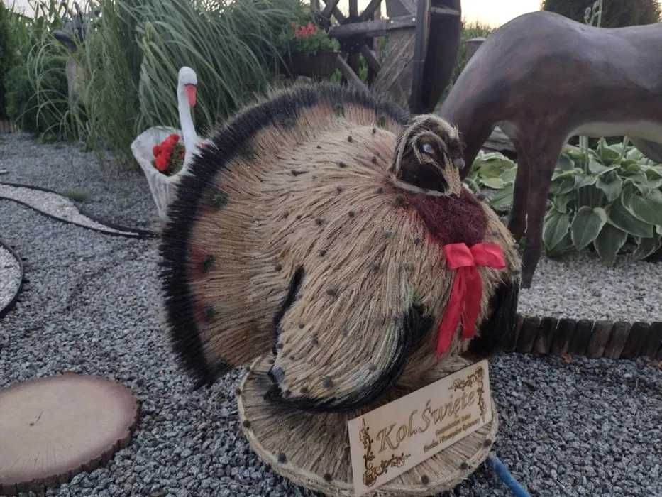 wieniec dozynkowy indyk