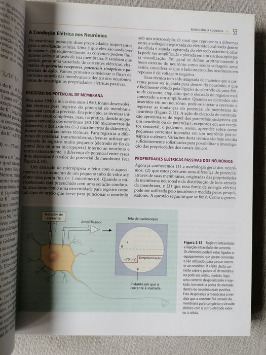 Neurociência Cognitiva
