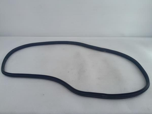 Borracha genérica RENAULT Clio IV (BH_)