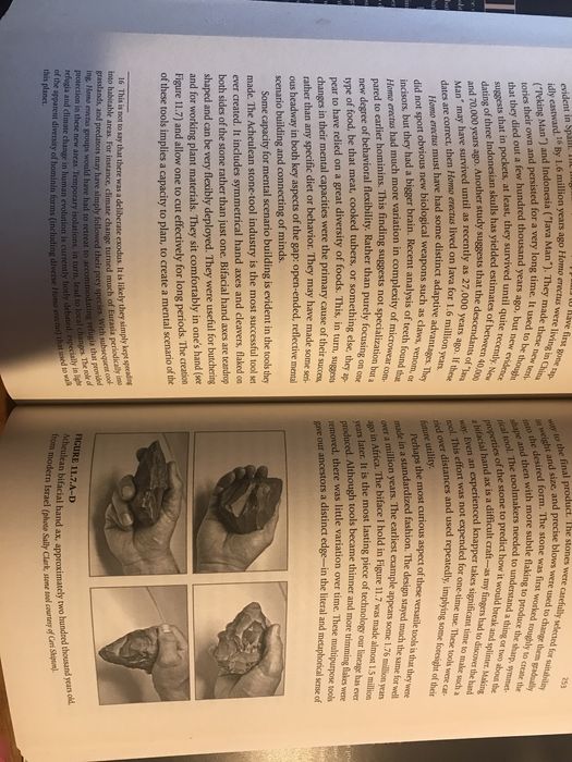 Livro “The Gap”64740292983939122