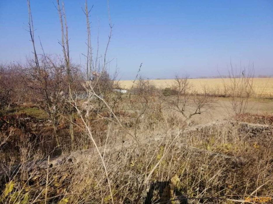 Продаж земельної ділянки 25 сот. Вінницька обл., с.Яришівка  5000$
