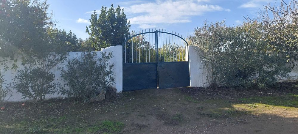 Horta com diversas árvores de fruto, armazéns e poço de água