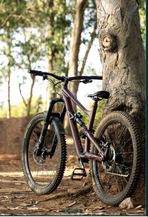 Specialized status 160 enduro