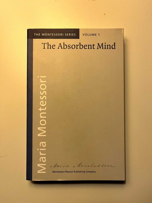 Livros: Gravidez, Bebé e Infância (Ler descrição) - ENTREGA GRATUITA